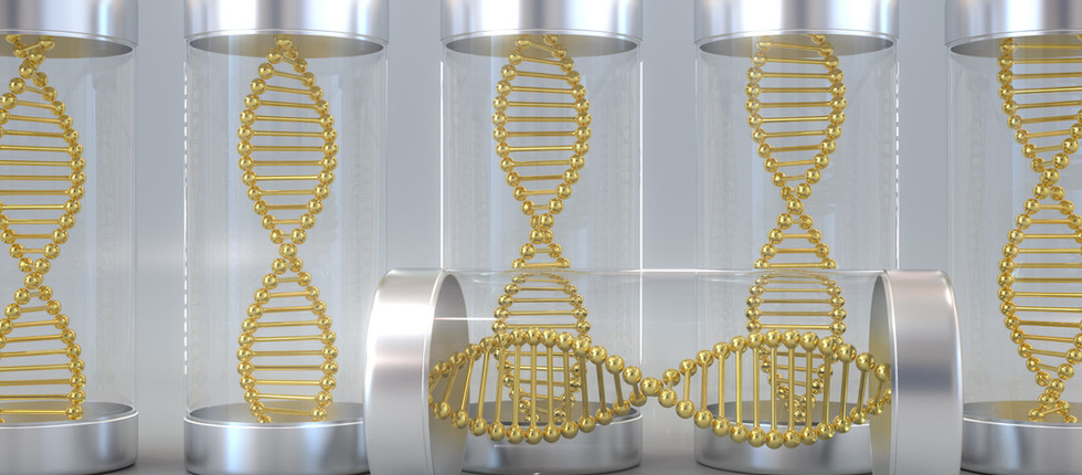 nucleogene-stabilizer-solutions-9l9tAIs-1